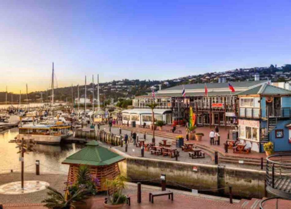 Perfect Knysna Getaway - Little Nest Studio Appartamento Esterno foto